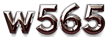 w565 logo
